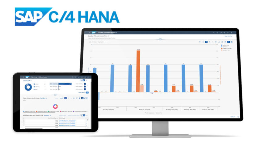 C Hana Sap Cloud Solutions Meritoech